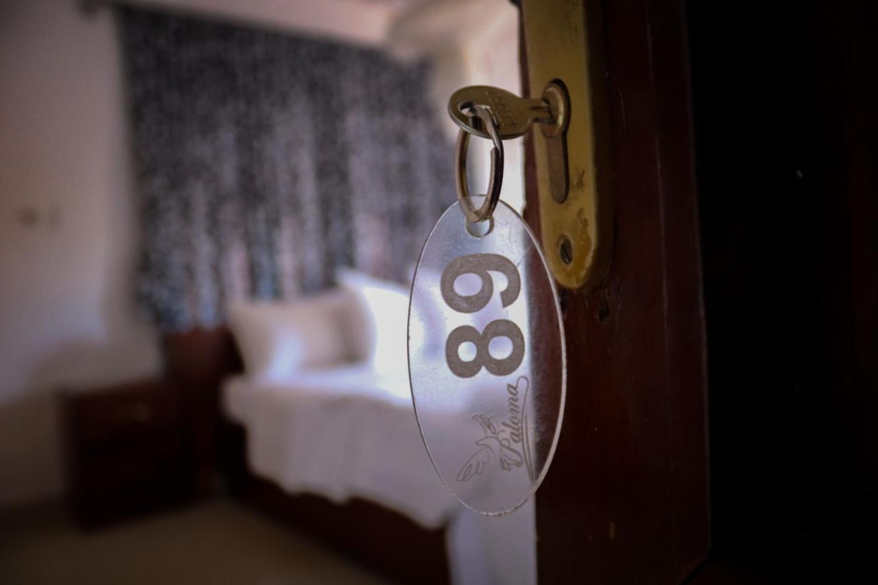 Paloma Guest House 케네마 외부 사진